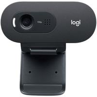 logitech 罗技 C505e 电脑摄像头 720P