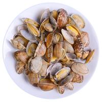 Seamix 禧美海产 真空花蛤 1kg