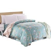 AVIVI A类被套单件被罩纯棉温馨居家全棉双人被套200x230cm  清馨花园