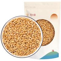 宝元堂 淮小麦500克 精选颗粒饱满怀小麦