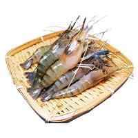 百鲜洽罗氏虾沼虾新鲜大虾速冻大头鲜虾巨型基围虾超大海鲜水产鲜活虾类 精品虾 500g(12-15只)大号