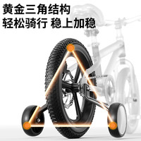 PHOENIX 儿童自行车儿童山地车小孩单车带辅助轮3-6-10-12岁小中大童 乌梅紫丨单速辐条轮+双碟刹+礼包 16寸