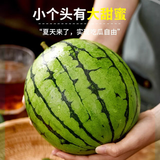 京地达西瓜山东糖丸小西瓜 净重8斤单果1000g+新鲜手撕2K小西瓜源头直发 糖丸小西瓜2-3粒装|脆甜好吃