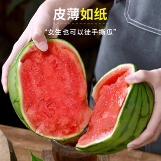 京地达西瓜山东糖丸小西瓜 净重8斤单果1000g+新鲜手撕2K小西瓜源头直发 糖丸小西瓜2-3粒装|脆甜好吃