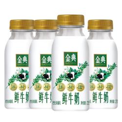 伊利 金典鲜牛奶 3.8g乳蛋白235ml*4瓶 分享装巴氏杀菌 低温牛奶