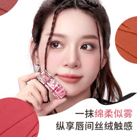 ZEESEA滋色轻慕唇釉冰块唇釉 姿色口红唇彩唇蜜礼盒美妆彩妆套装 绵雾唇泥-W02红棕聚宝