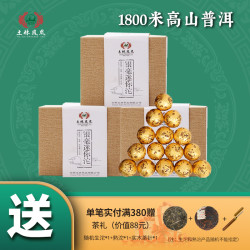 土林 凤凰银毫迷你沱生普洱茶生茶120g
