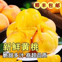 百亿补贴：巡果侠果 XUNGUOXIA 巡果侠 正宗湖北黄桃 3/4.5斤 脆甜多汁新鲜应季水果