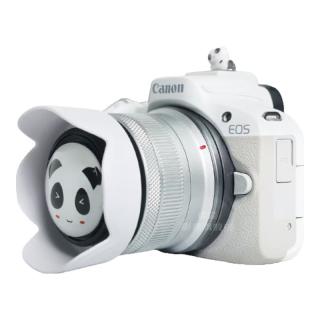 佳能 EOS R50 APS-C画幅 微单相机 白色 RF-S18-45mm F4.5-6.3 IS STM 单头套机