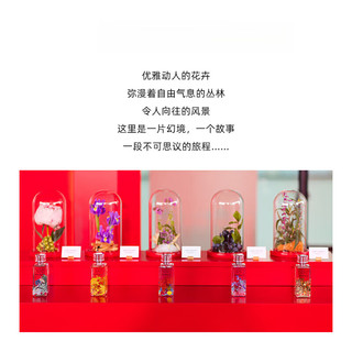 菲拉格慕（Ferragamo）丝之境落日草原浓香水 柑橘花香调 生日礼物自营