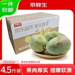 攀枝花凯特芒果 净重4.5斤 单果400g+