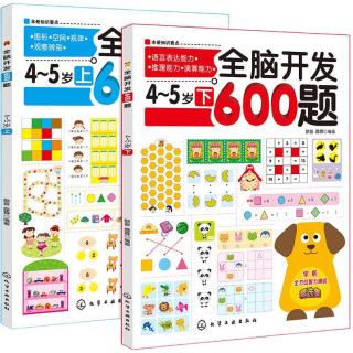 《全脑开发600题·4-5岁》（套装共2册）