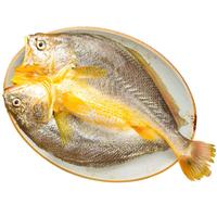 黄小渔宁德黄花鱼 冷冻大黄鱼 鱼类水产海鲜海鱼新鲜速冻源头直发 冷冻大黄鱼400g/条*3