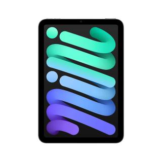 国家补贴、今日必买：Apple iPad mini 7 2024款 平板电脑（A17 Pro、256GB、WLAN版、深空灰色）