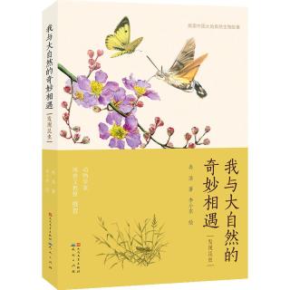 《我与大自然的奇妙相遇·发现昆虫》