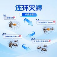 迈洁斯强效蟑螂药家用饭店餐厅全窝强效端杀第一名胶饵虫卵双杀