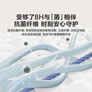 LOVO乐蜗家纺 抗菌防螨硬质棉床褥 灰色 180*200cm