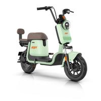 雅迪青春号【车架+电池+充电器】电动自行车Q1-H 48V24Ah钠离子电池新国标电动自行车 春辰绿