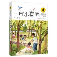 《漂流屋王一梅儿童文学精品系列·一片小树林》