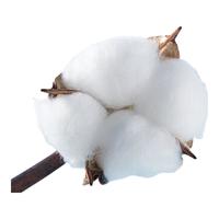 爱慕一次性内裤【4条装】免洗无菌旅行男童内裤 白色140 白色-男童