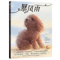 《暴风雨》（精装）