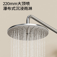 JOMOO九牧卫浴花洒套装淋浴家用简易恒温浴室喷头无顶喷卫生间 亮银色单功能花洒套装.