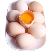 静益乐源 鲜鸡蛋 40枚