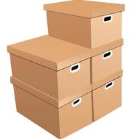 QDZX 日式收纳箱 2只装收纳盒 档案箱盒带盖纸质整理材料箱衣服棉玩具