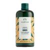 THE BODY SHOP 美体小铺 生姜头皮护理洗发水 400ml