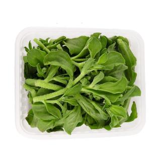 芬果时光 冰草 650g-750g