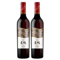CHANGYU 张裕 星璇精选赤霞珠干红葡萄酒750ml*2瓶双支装 国产红酒 年货节送礼
