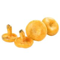 Bacteria Heung Yuen 菌香园 野生新鲜松茸 500g 礼盒装