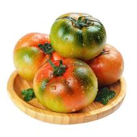 京地达山东铁皮草莓西红柿 净重5斤 单果25g+水果西红柿源头直发 草莓番茄 5斤