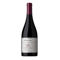 Cono Sur 柯诺苏 21区圣安东尼奥谷干型红葡萄酒 750ml
