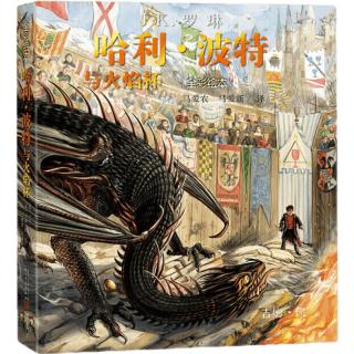 《哈利·波特与火焰杯》