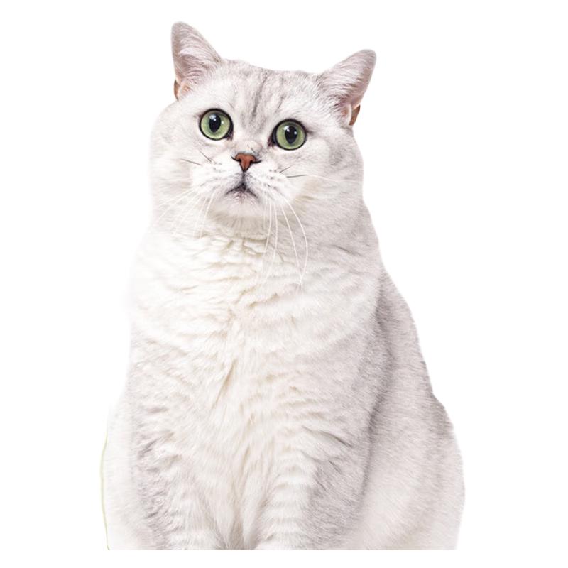 哇米哺乳期猫粮布偶猫蓝猫母猫怀孕孕猫产后猫下奶猫咪营养品 孕期猫咪冻干猫粮【5斤装】 2500g