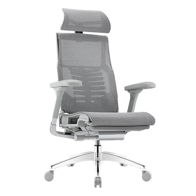 Ergonor Pofit 2代 智能人体工学椅 银白色美国网
