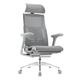 Ergonor Pofit 2代 智能人体工学椅 银白色美国网
