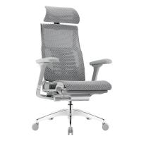 Ergonor Pofit 2代 智能人体工学椅电竞游戏椅电脑椅办公椅子 银白美国网 免安装