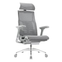 Ergonor Pofit 2代 智能人体工学椅 银白色美国网
