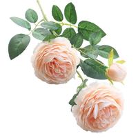 SUGER LOVE 爱已装糖 多头洋牡丹 香槟色 62cm 5支装