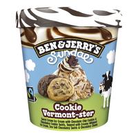 BEN & JERRY'S巧克力曲奇海盐冰淇淋427ml 本杰瑞 冰淇淋 雪糕