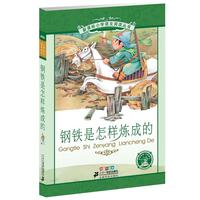 《新课标小学语文阅读丛书·钢铁是怎样炼成的》(彩绘注音版)