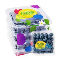 怡颗莓 Driscoll's云南蓝莓经典超大果18mm+4盒装 新鲜水果