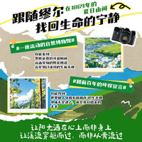 精装 夏日走过山间 精装刷边