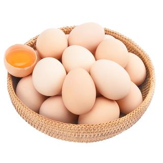 我老家 初生蛋 40枚 1.6kg