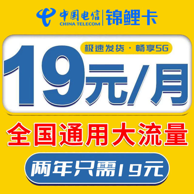 中国电信 锦鲤卡 2年19元月租（自动返费+80G全国流量+免费体验两个月）+体验结束后可免费升级流量