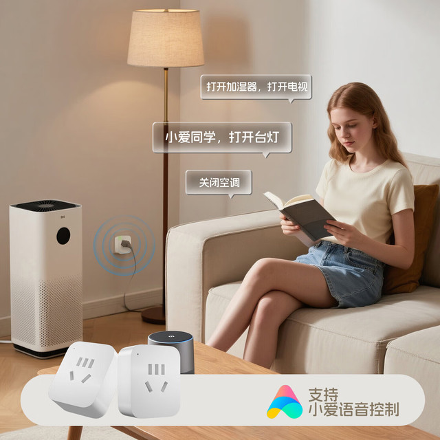 米家APP智能插座 10A 蓝牙基础款（需搭配蓝牙网关）