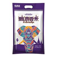 TAIJINXIANG 泰金香 甄泰香米 5kg