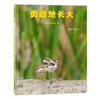 《勇敢地长大·工地旁的小鸟一家》(精装)